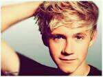 NiallHo28039426's profile picture. Hey I'm Niall! If you follow me I follow you back because I believe that you are a true Niall fan! Love you fans!