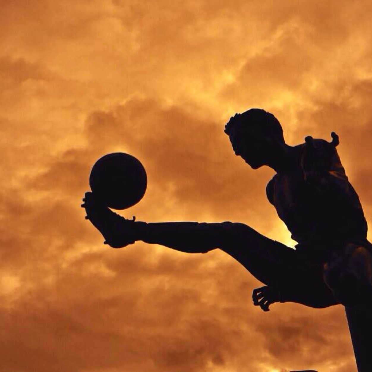 gold_dazzler's profile picture. 