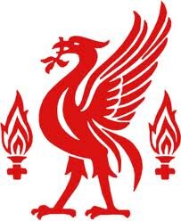 Stock cars,Fifa,Fishing,Football,Liverpool FC,