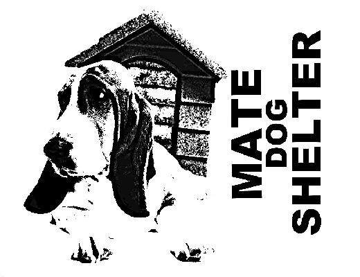 MateDogShelter  - A shelter where you can adopt a stray dog and offer him a better life.

THEY ARE DEPENDING ON ALL OF US!