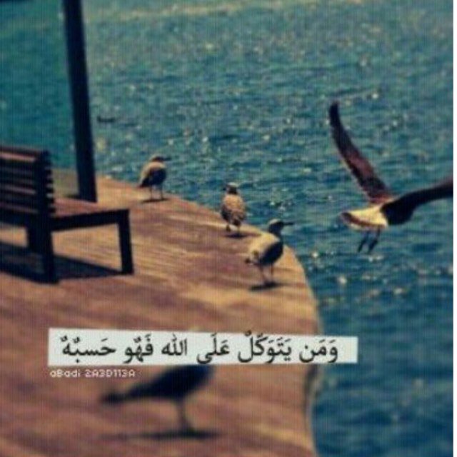 My http://t.co/80kSVpJubC