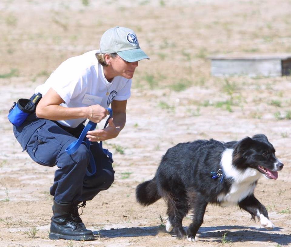 WereWrongedByK9's profile picture. Families that deserve the truth and not fabricated lies.