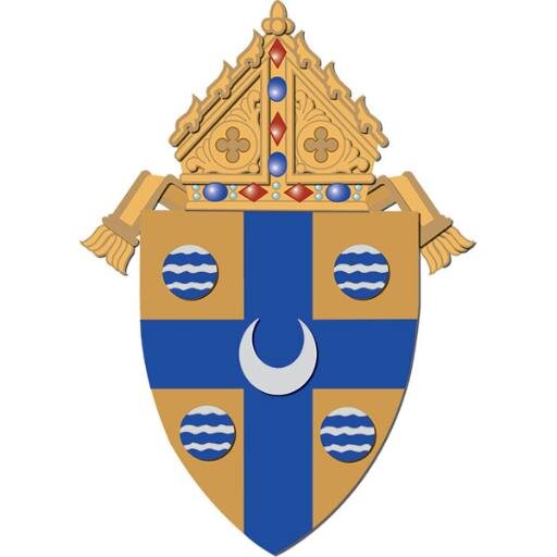 The Roman Catholic Diocese of Springfield in Illinois.  https://t.co/aR0ZEgb6uu