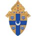 Diocese of Spfld (@diospringfield) Twitter profile photo Diocese of Spfld (@diospringfield) Twitter profile photo