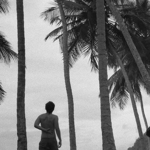 plantafachada's profile picture. 