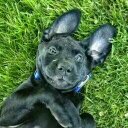 Nick Pellegrino - @npellegrino455 - Twitter