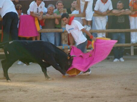 daviddomingo1's profile picture. 