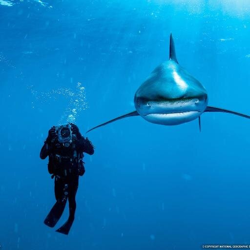 INFANTELLITERAS's profile picture. 