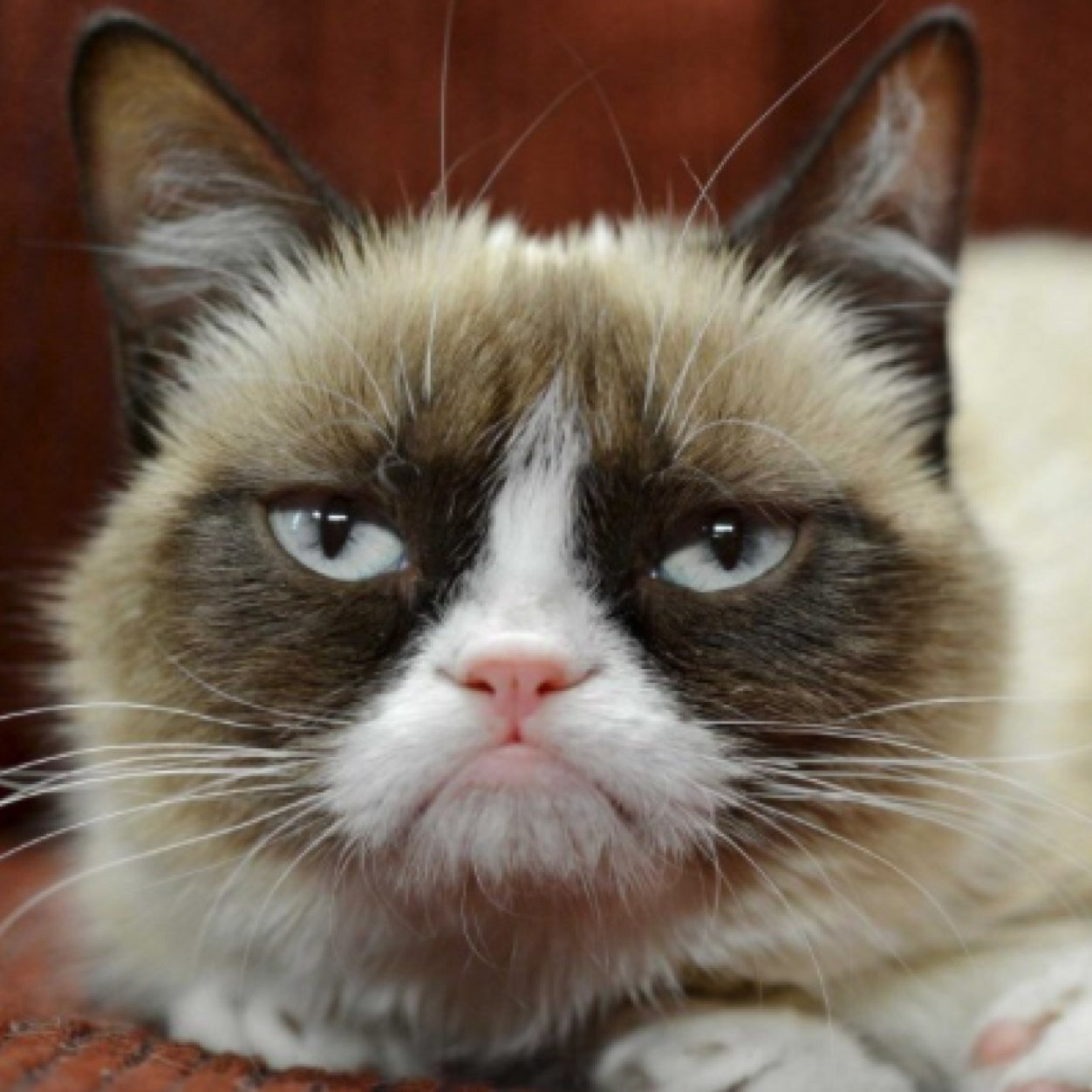 Feelings hurt? Being a bitch? You are butt hurt my friend.