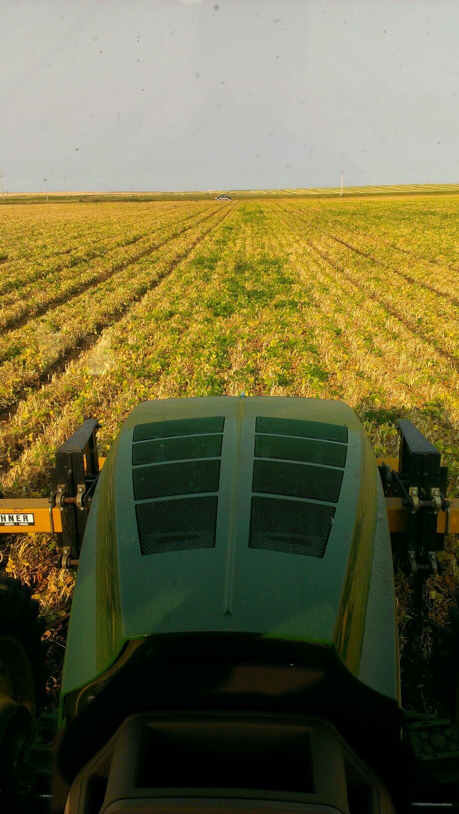 growing hybrid seedcanola, dry edible beans, durum and hard Red spring wheat.... living my dream...