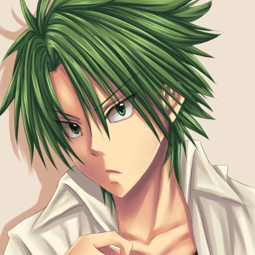 UekiKosuke_RP's profile picture. 17. Celestial de 10 estrellas ¡Nadie podrá vencer mi sentido de la justicia! Tengo el poder de convertir la basura en arboles. Cuenta de Rol