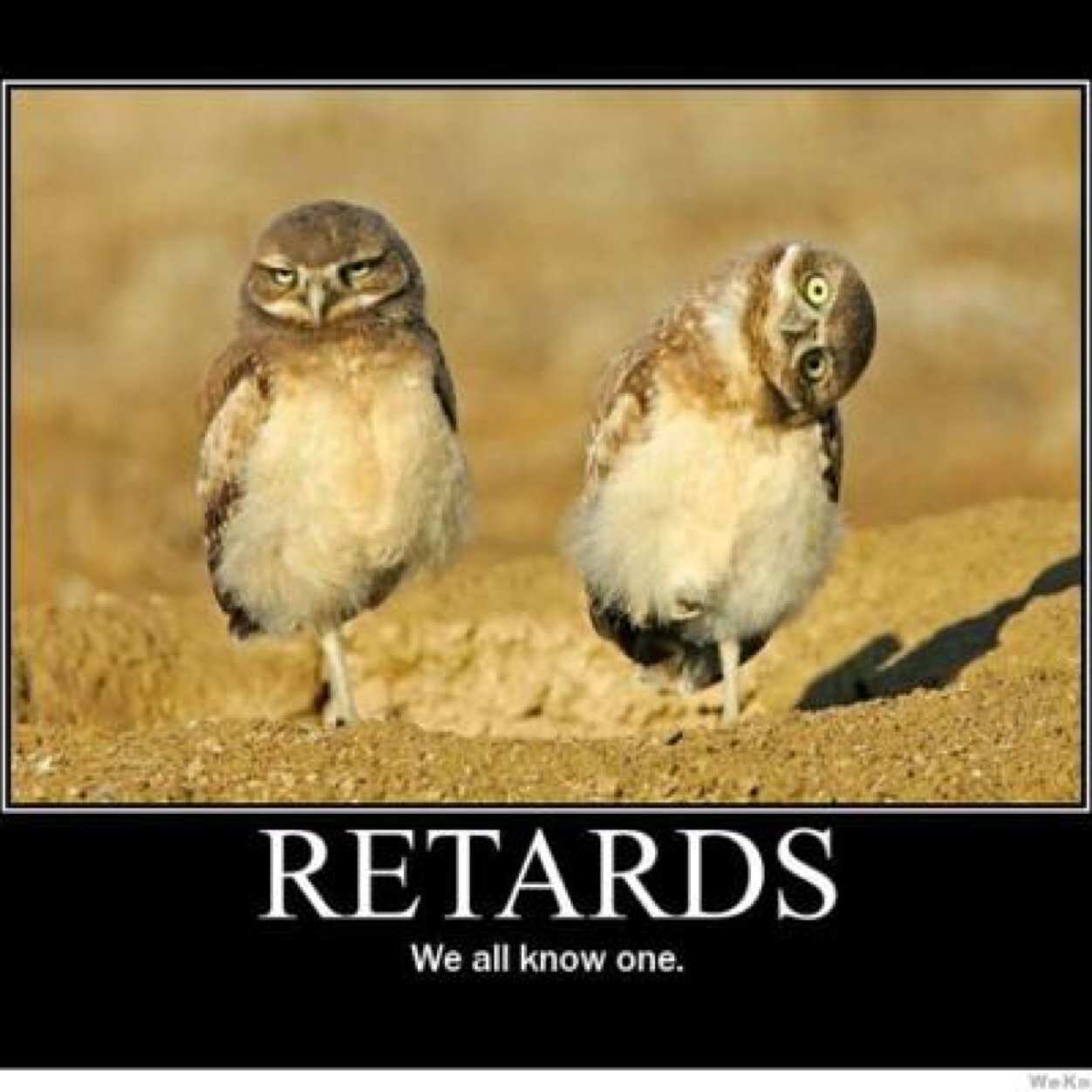 WeKnoSomeoneWho's profile picture. 