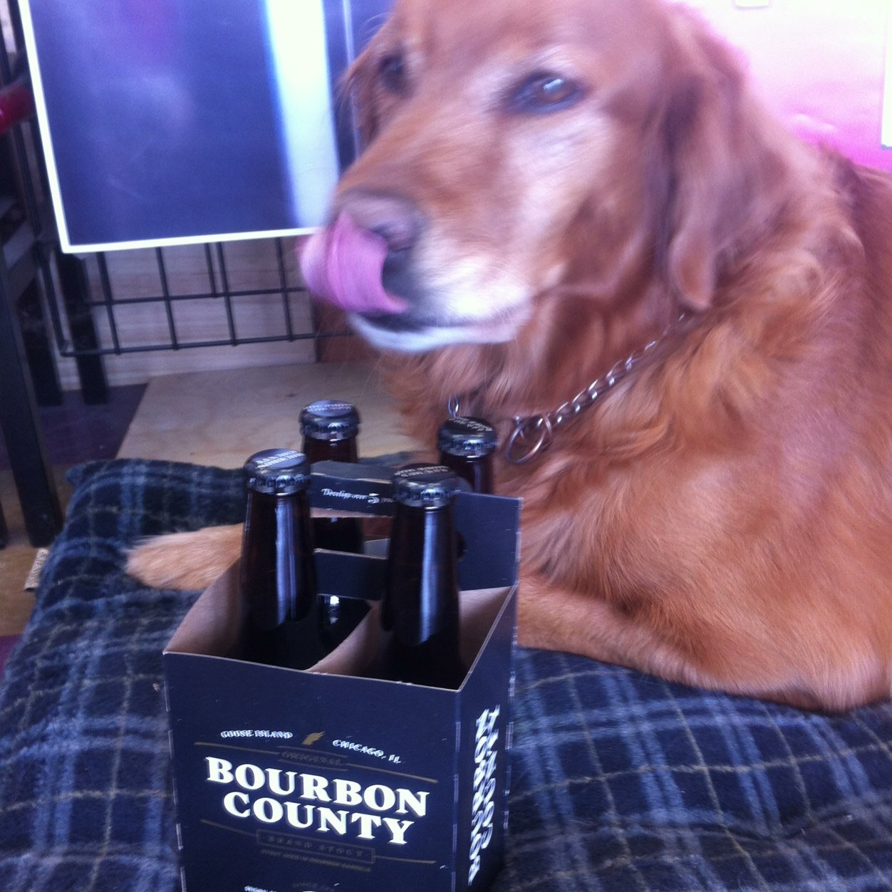 harveyswine's profile picture. Help us help you find that wine that you had one time at this party with your friend's friend that you don't talk to anymore.