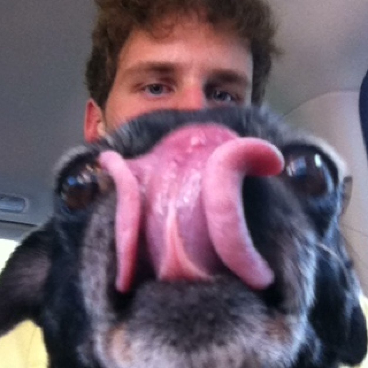 d_goodman6's profile picture. 802
SMC