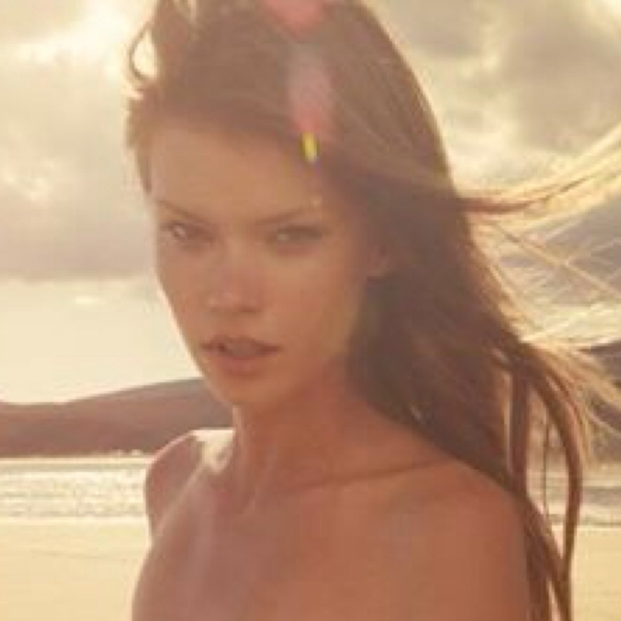 Celebrity Alexandra Vittek nude photos 2019 Celebrity Alexandra Vittek nude photos 2019