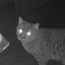 Mark Rocks - @MarkRocks801 - Twitter