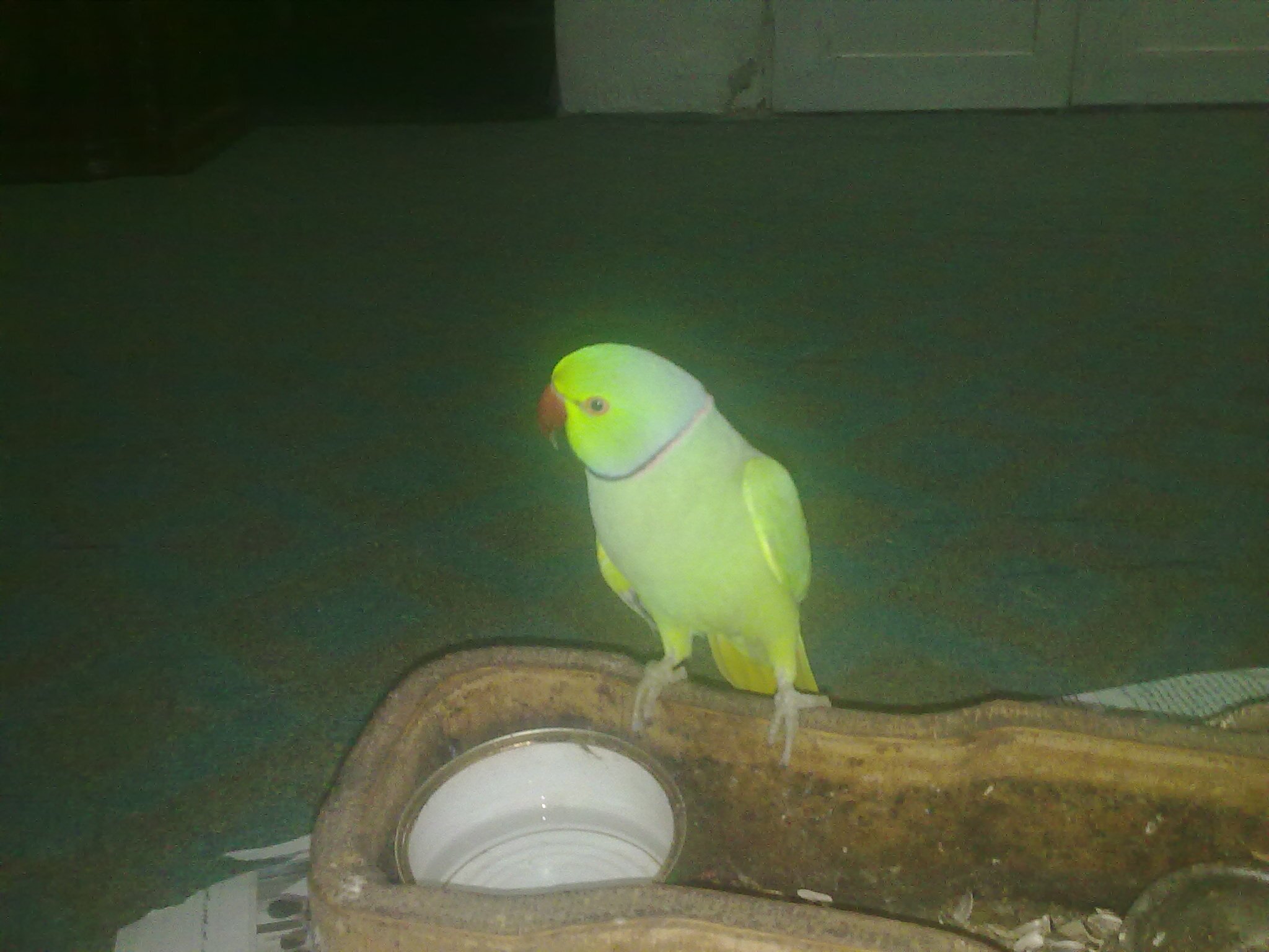 waelalsmadi23's profile picture. 