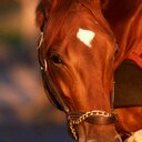 Chris Thigpen - @easygoerfan31 - Twitter