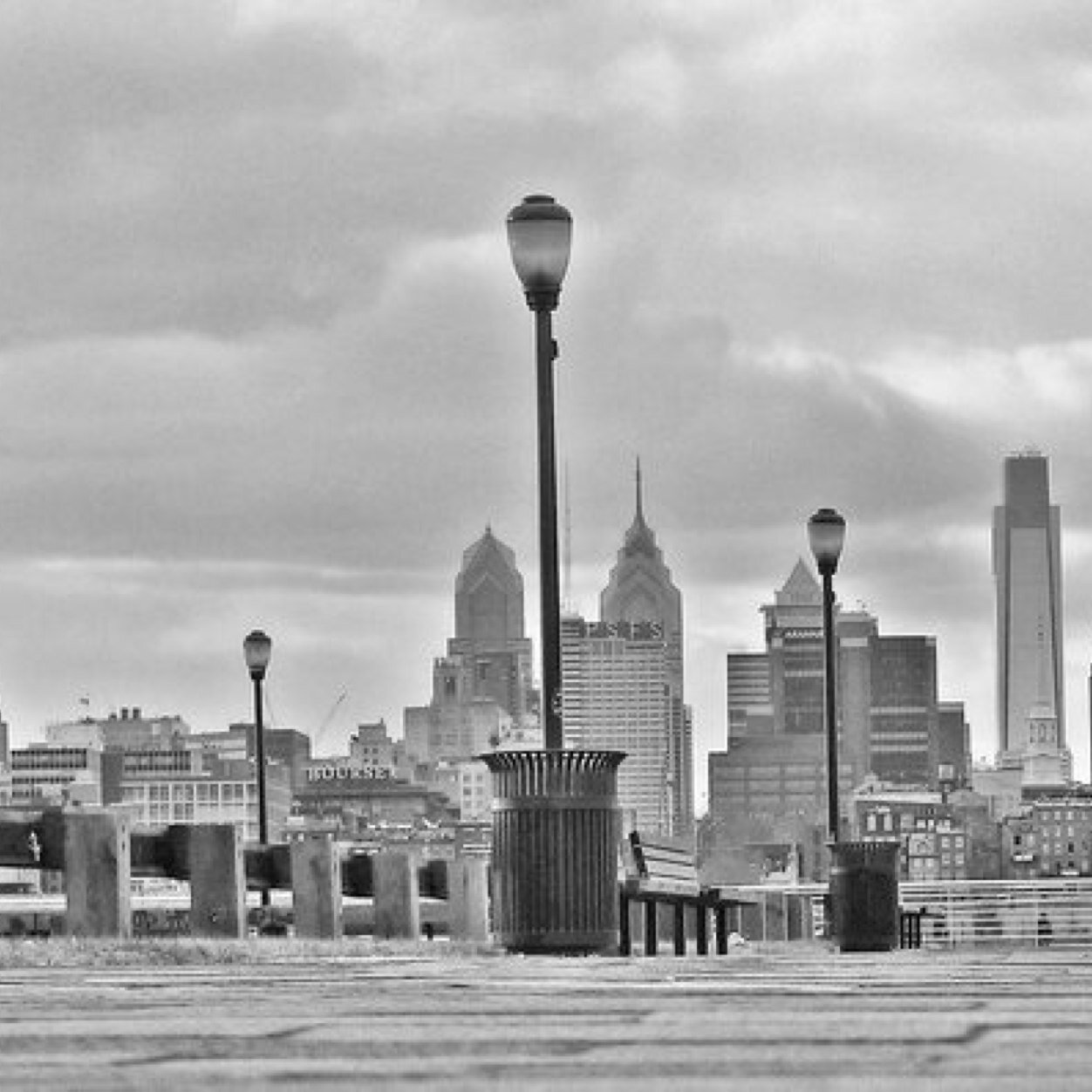 thereelstag's profile picture. 