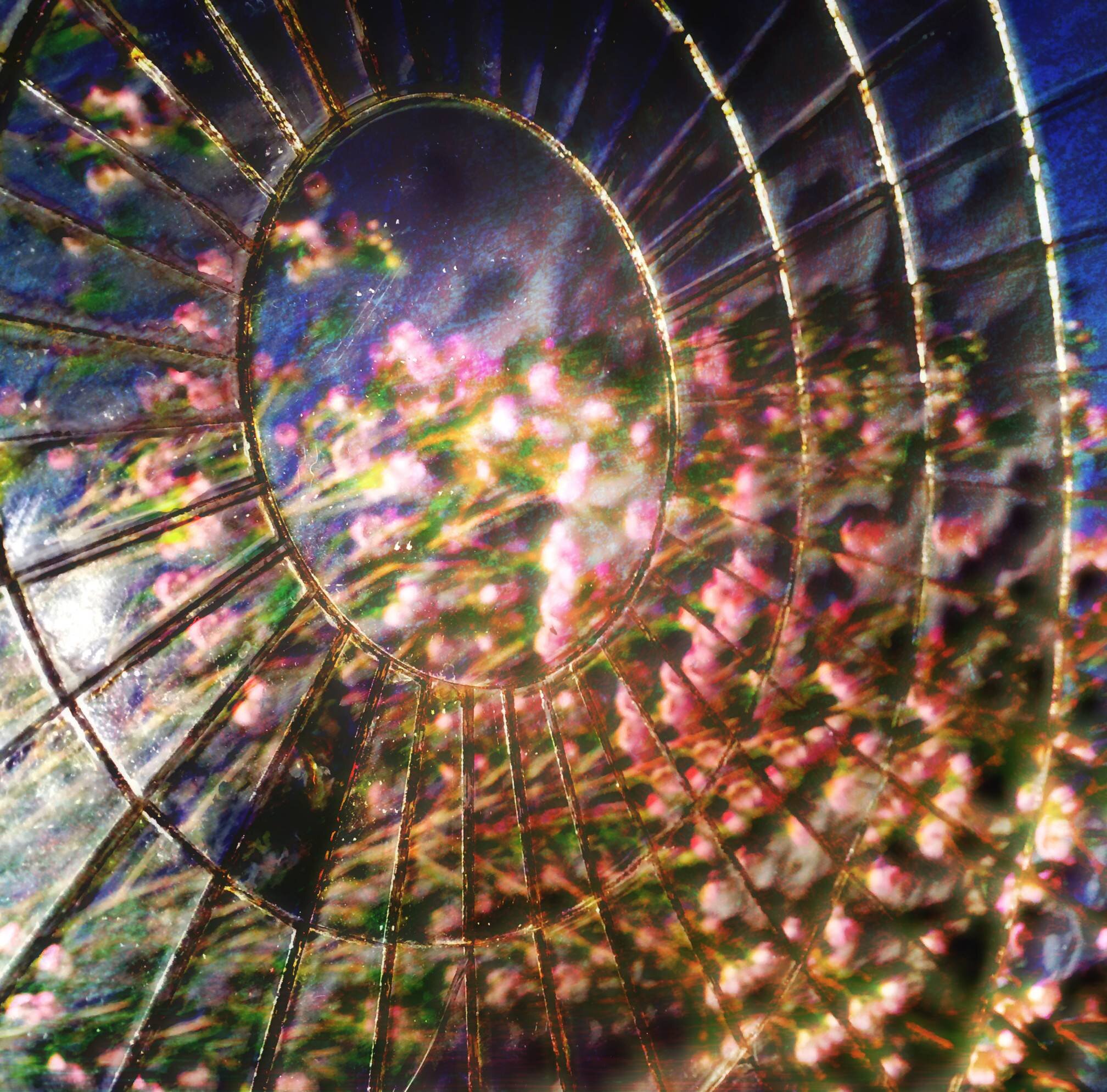 PsychedelicPop