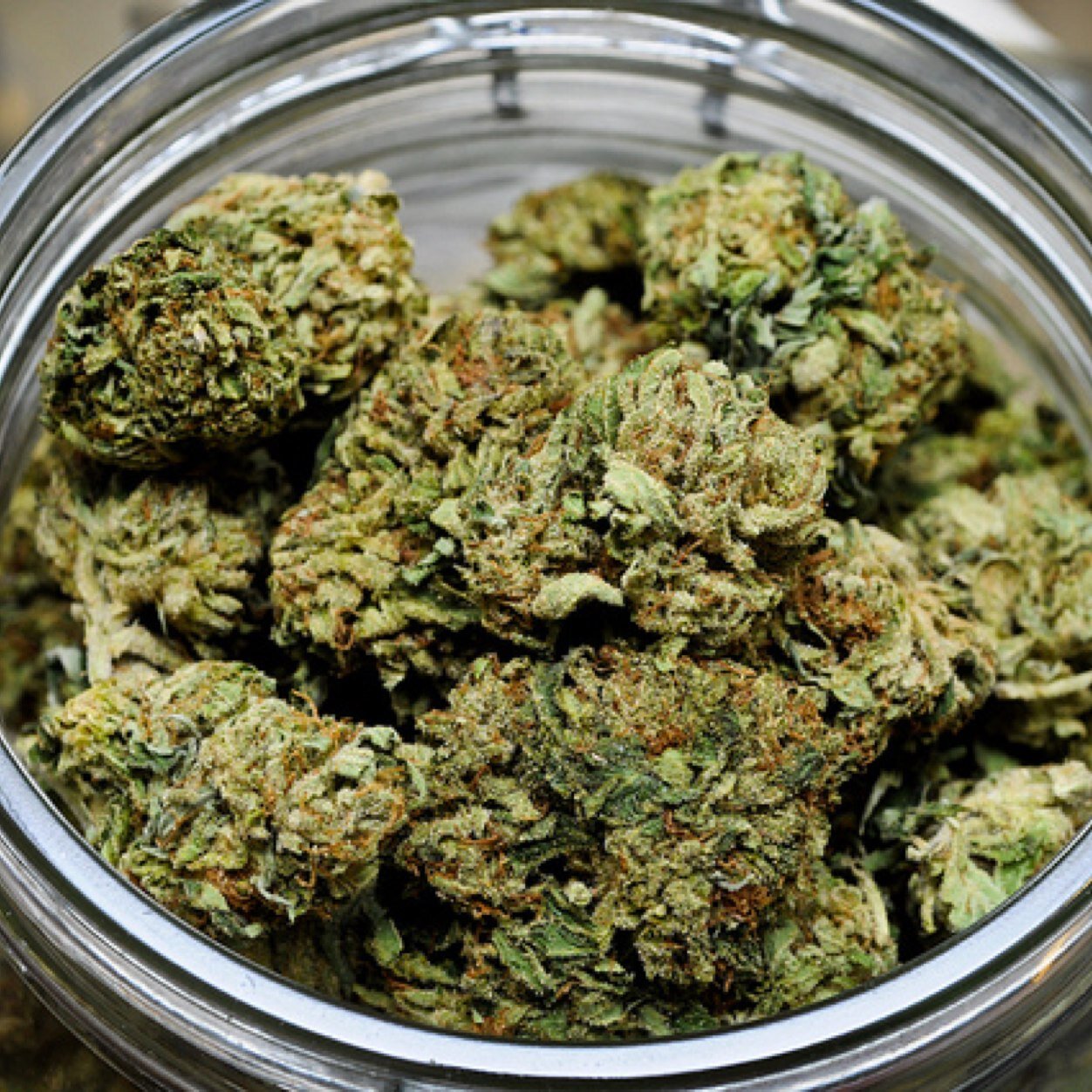 god_ganja's profile picture. #herblife