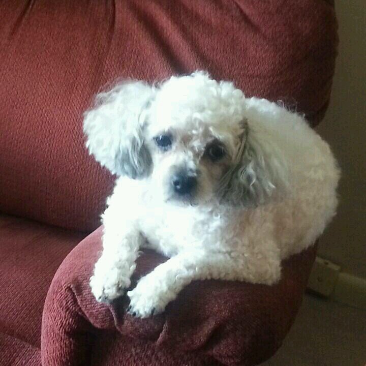 schobyja's profile picture. 