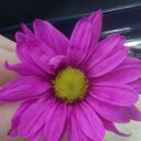 Cassandra bauer - @bauer_cassandra - Twitter