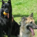 MARTHA PALACIO - @MPALACIO43 - Twitter