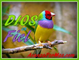 NoticiaTere's profile picture. 