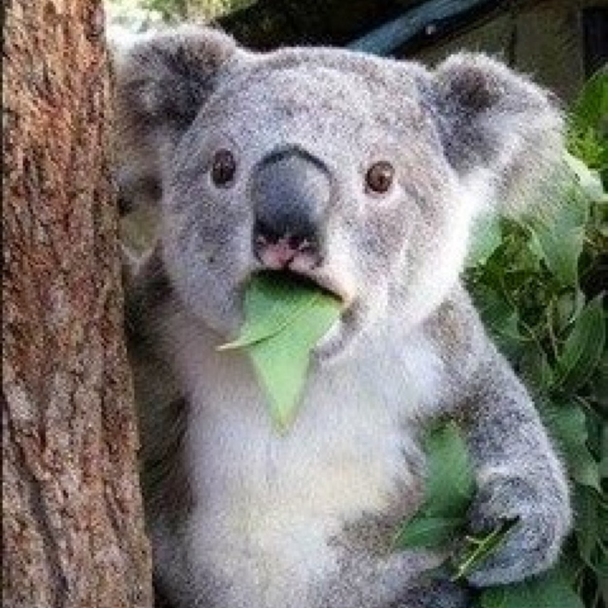 EvCounselor's profile picture. 