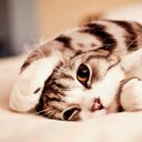 Melissa Westhoff - @Meldom05Melissa - Twitter