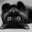 Kat Pérez - @_Kat_Perez_ - Twitter