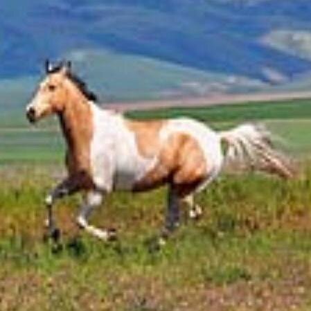 Sonoramarie's profile picture. Trust life my friends. No matter how far afield life seems to take you, this trip is necessary.