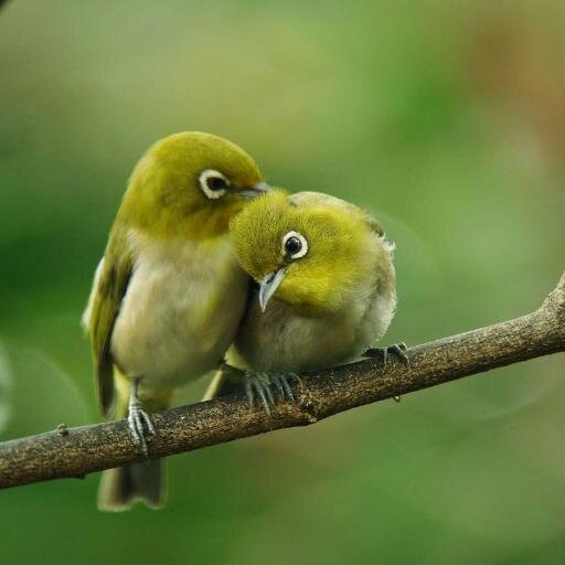 10000miyashita's profile picture. Japan🇯🇵