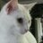 tbcrawfish99's profile image
