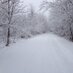 Michael L. Wetherell 🦌 (@mwetherell1) Twitter profile photo Michael L. Wetherell 🦌 (@mwetherell1) Twitter profile photo