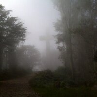 JanWindsong (@janwindsong) 's Twitter Profile Photo