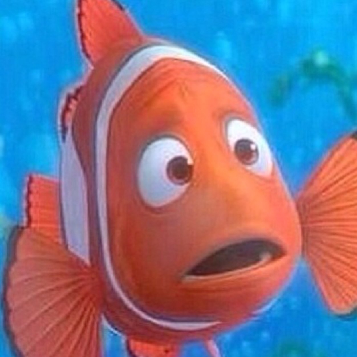 #swimcomplaints