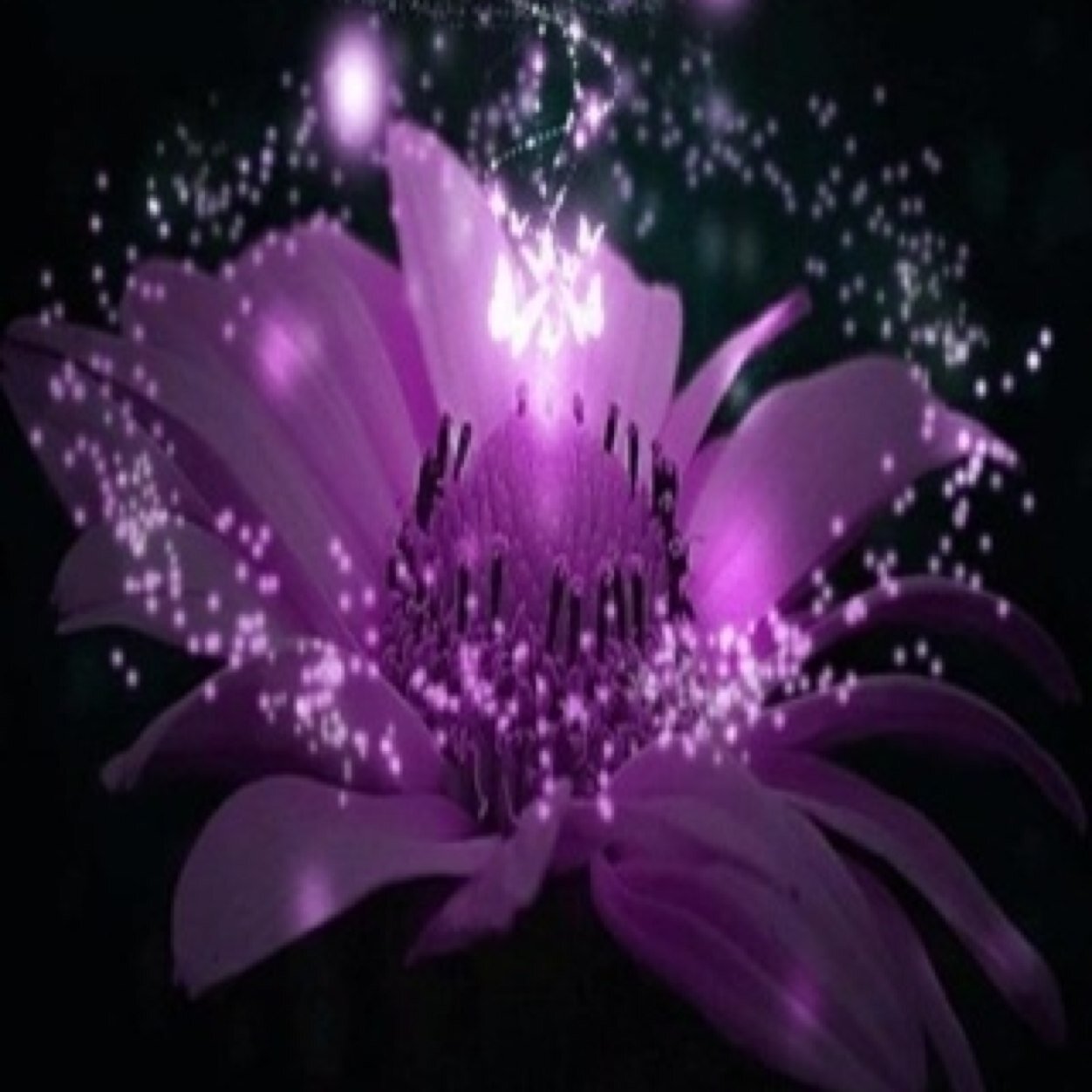 3Louth's profile picture. 