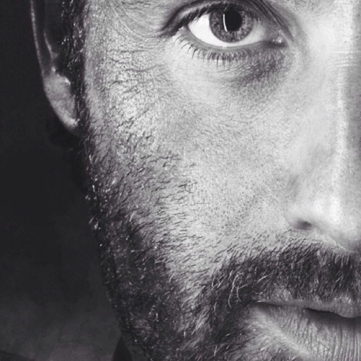 itsTWDx's profile picture. 