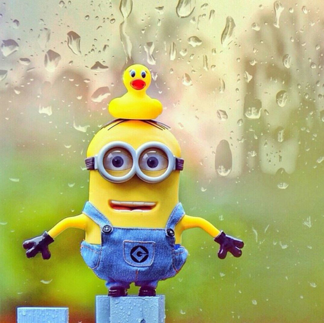 ㅤㅤㅤㅤㅤ
'
. . اللهمٓ آحسن خاتمتناا يآررب
. . - الٓ Follow ' يزيد من جمالكم $