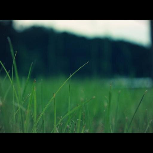 Life is beautiful :)