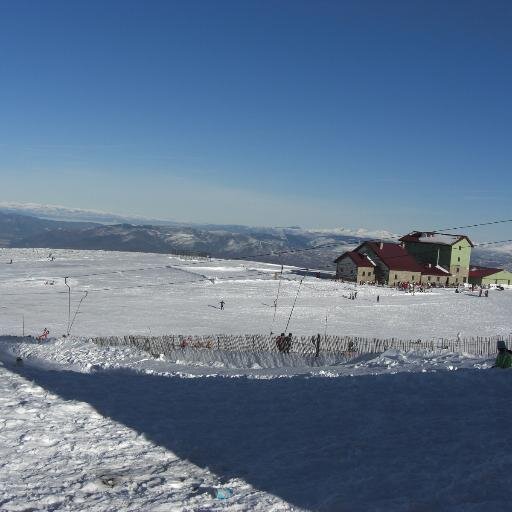antelmont's profile picture. Jubilado, Padre, amante del Magallanes