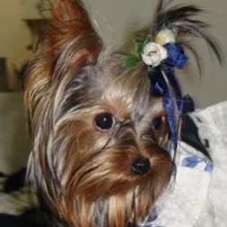 JusticiaRafita's profile picture. RAFAELLA la mas pequeña de mi familia fue robada desde el jardín  luego de un mes de búsqueda la encontré muerta enterrada ...busco Justicia para Rafaella!!