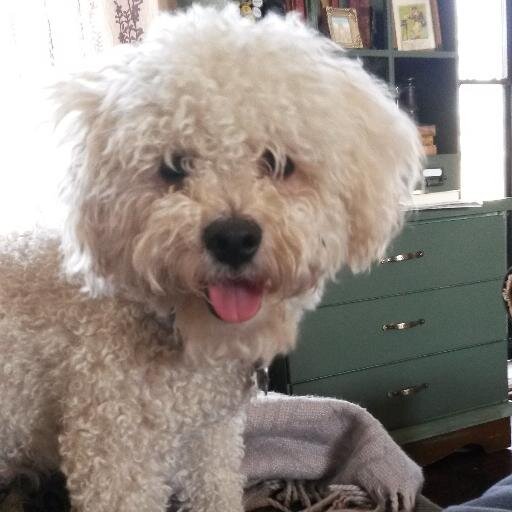 malloryannprice's profile picture. Social Worker, Librarian, Lover of history and collector of Antiques