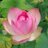 allowts55's profile image