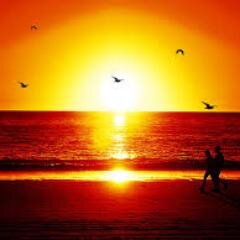 KantoChat's profile picture. https://t.co/5Uw6wG1EDc