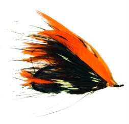 World class fishing for Steelhead, Brown Trout, Rainbow Trout & Walleye on eastern Lake Ontario's Salmon River and tributaries Contact NYS DEC Guide Capt Joe