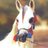 NAlmehri's profile image