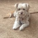 Larry Rutter - @rutterslo - Twitter